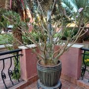 WhatsApp Image 2025-12-10 at 10.30.03 PM (2)